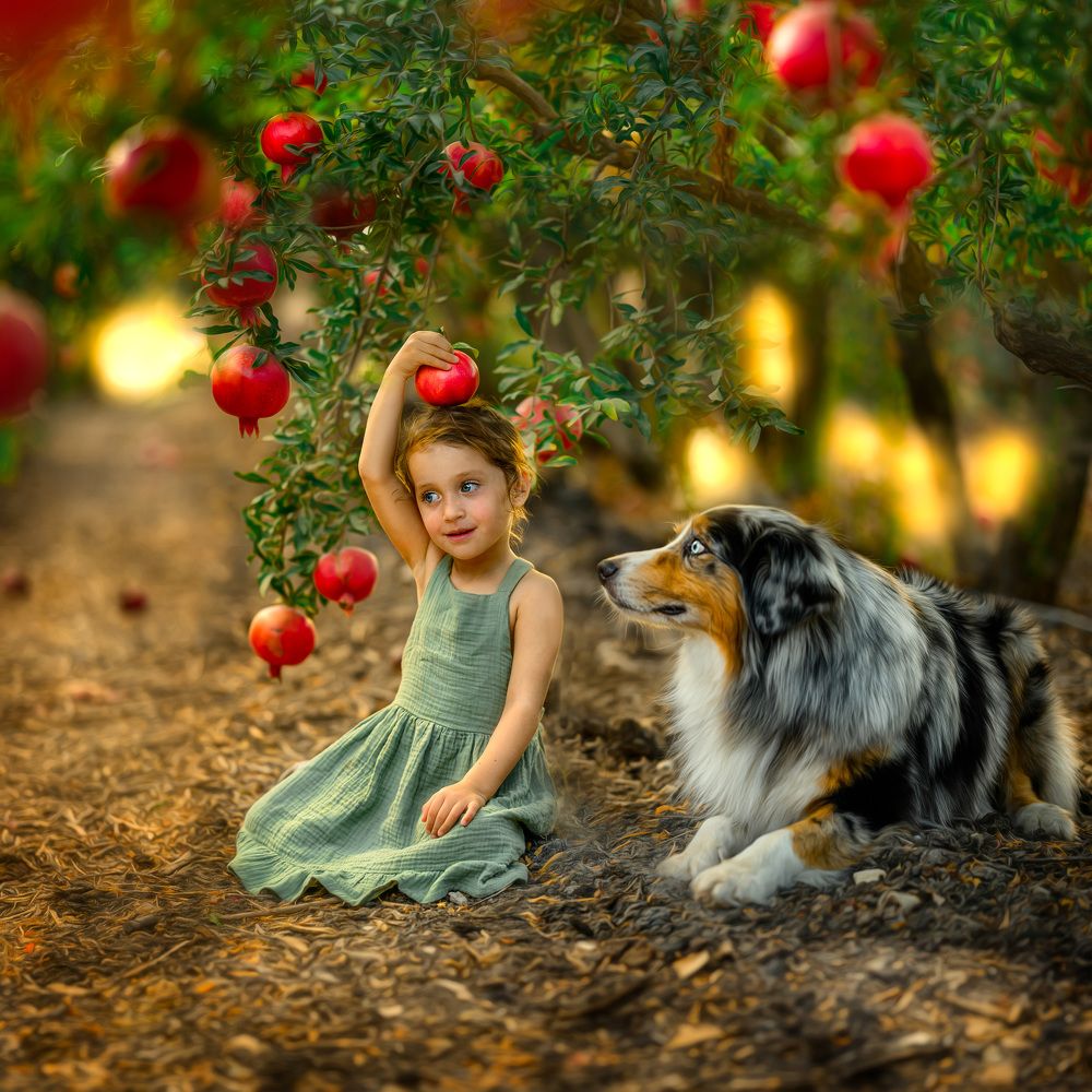 Photograph by michal abend