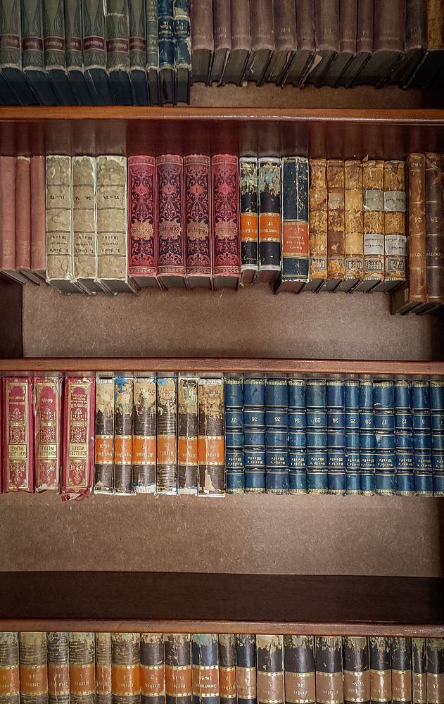 Фотография автора Анастасия Мамаева