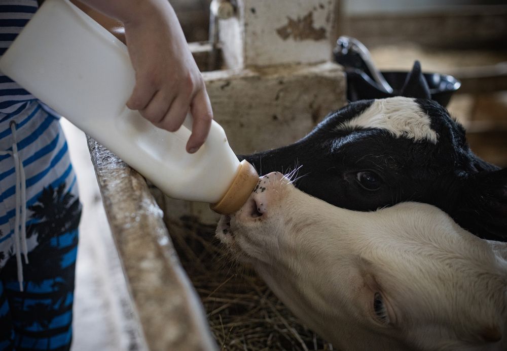 Photograph by Ольга Левакова