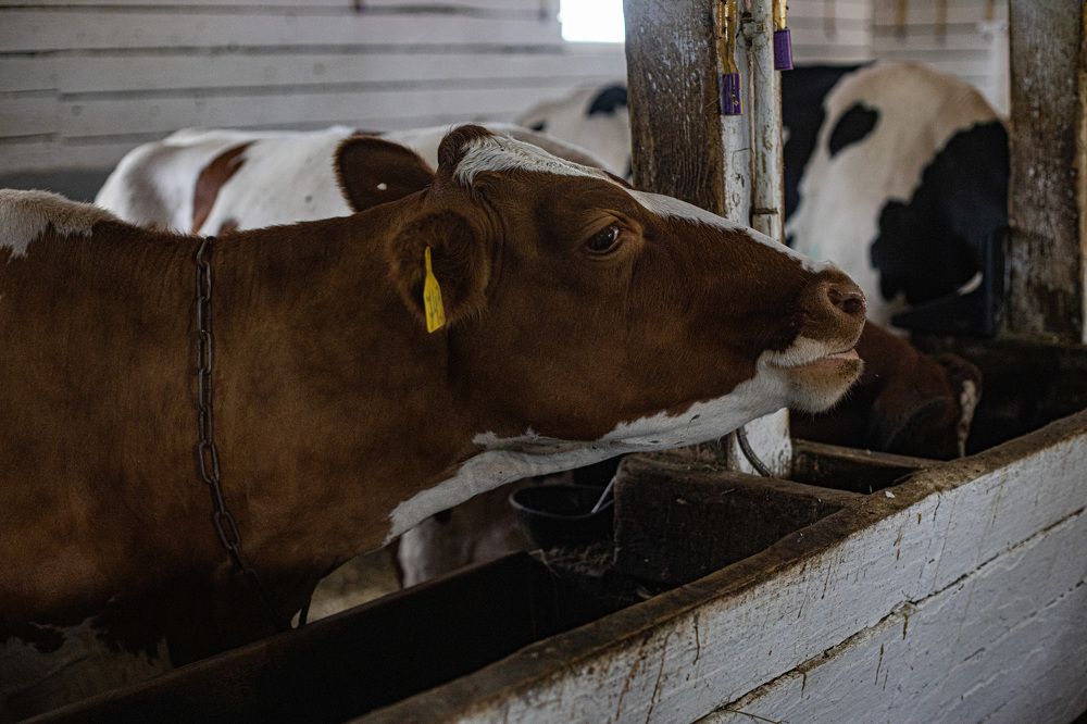 Photograph by Ольга Левакова