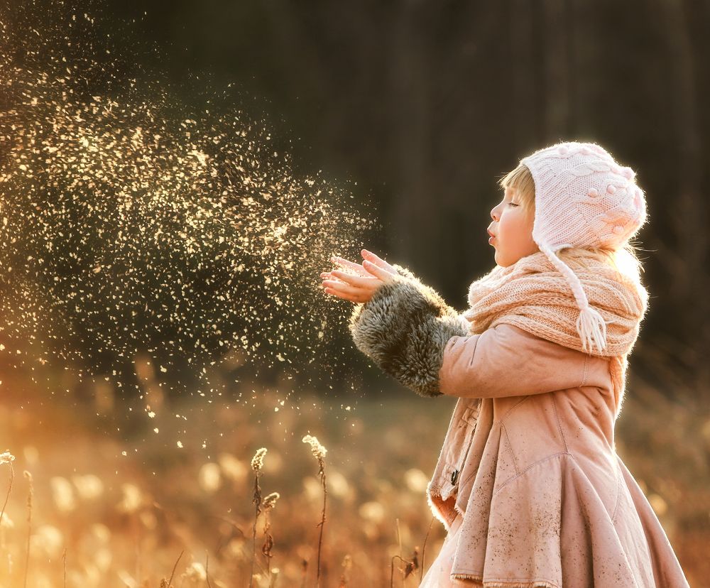 Загадай желание