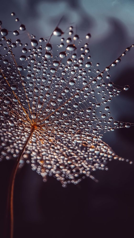 Photograph by Наталья Лищинская