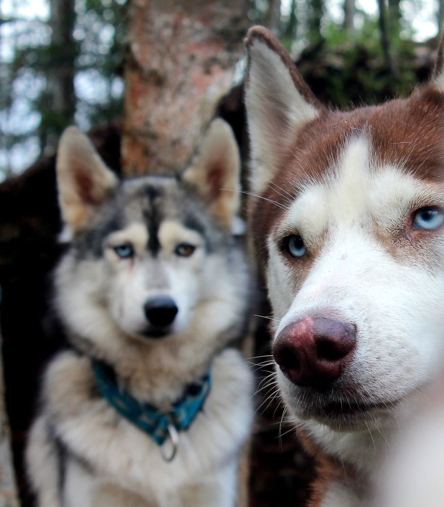 Photograph by Елена