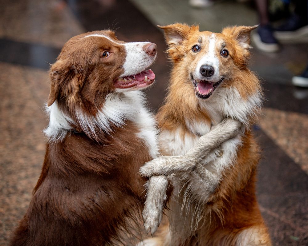 Photograph by Александр Ермоленко