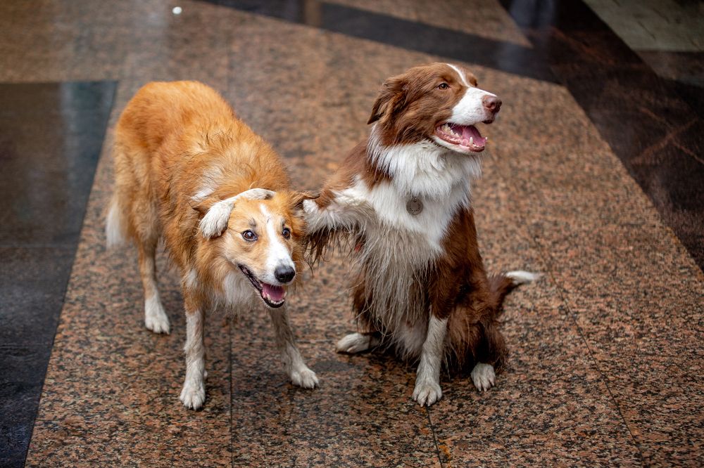 Photograph by Александр Ермоленко