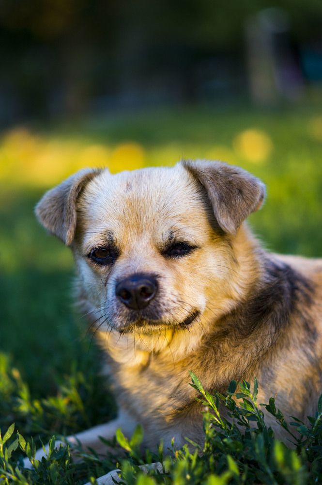 Photograph by Роман Крупченко