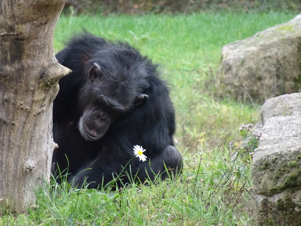 Photograph by Мила Милая