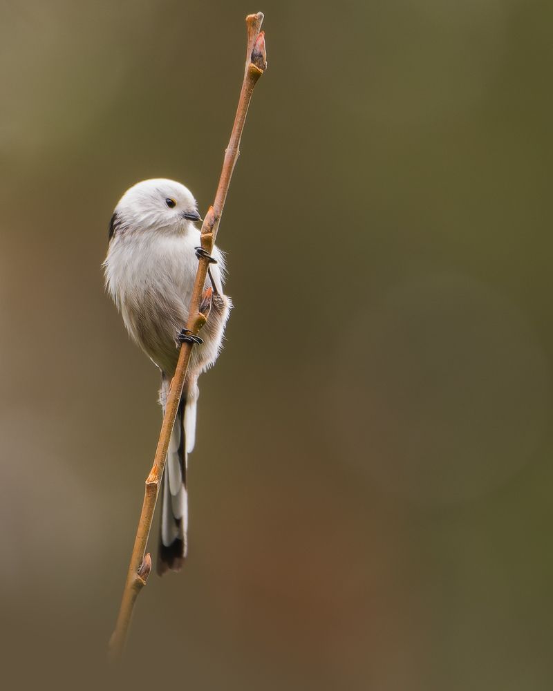 Photograph by Сергей Егоров