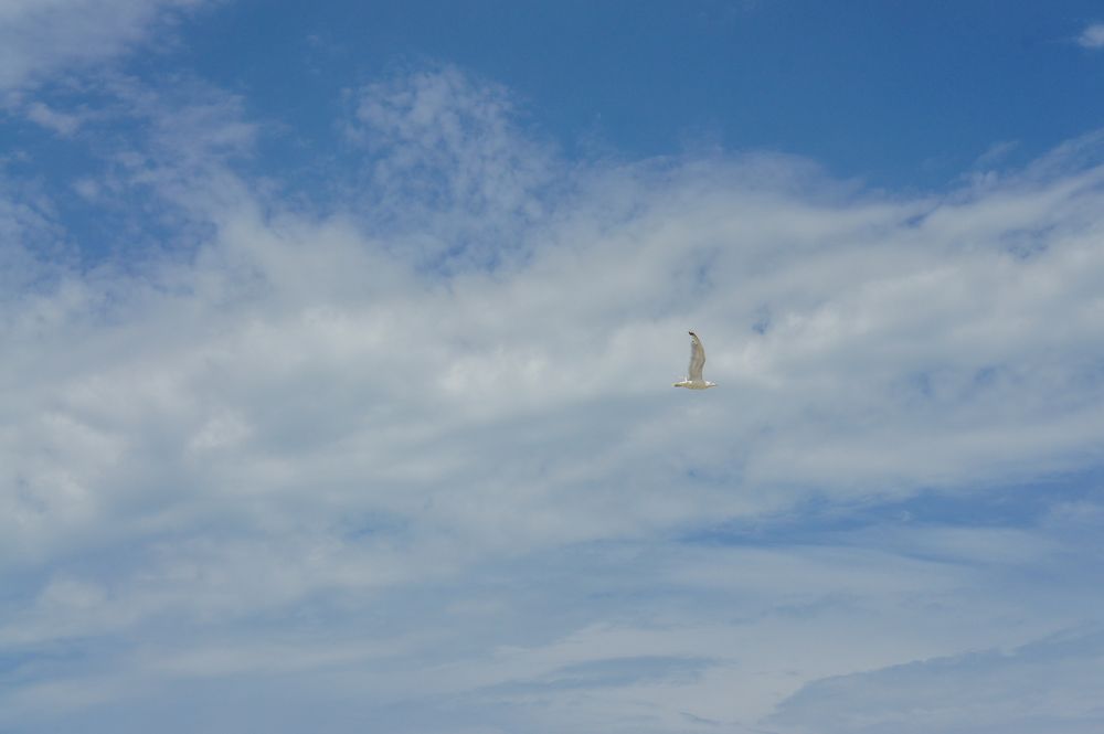 Photograph by Олег