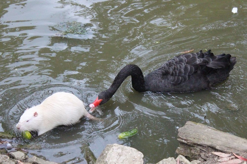 Photograph by Виталий