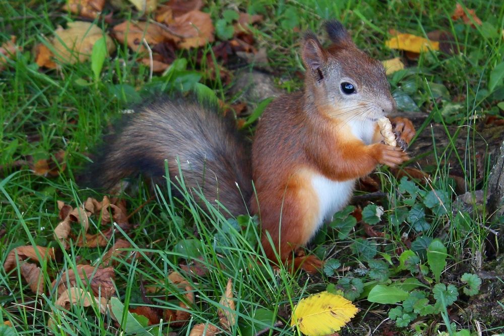 Photograph by Виталий