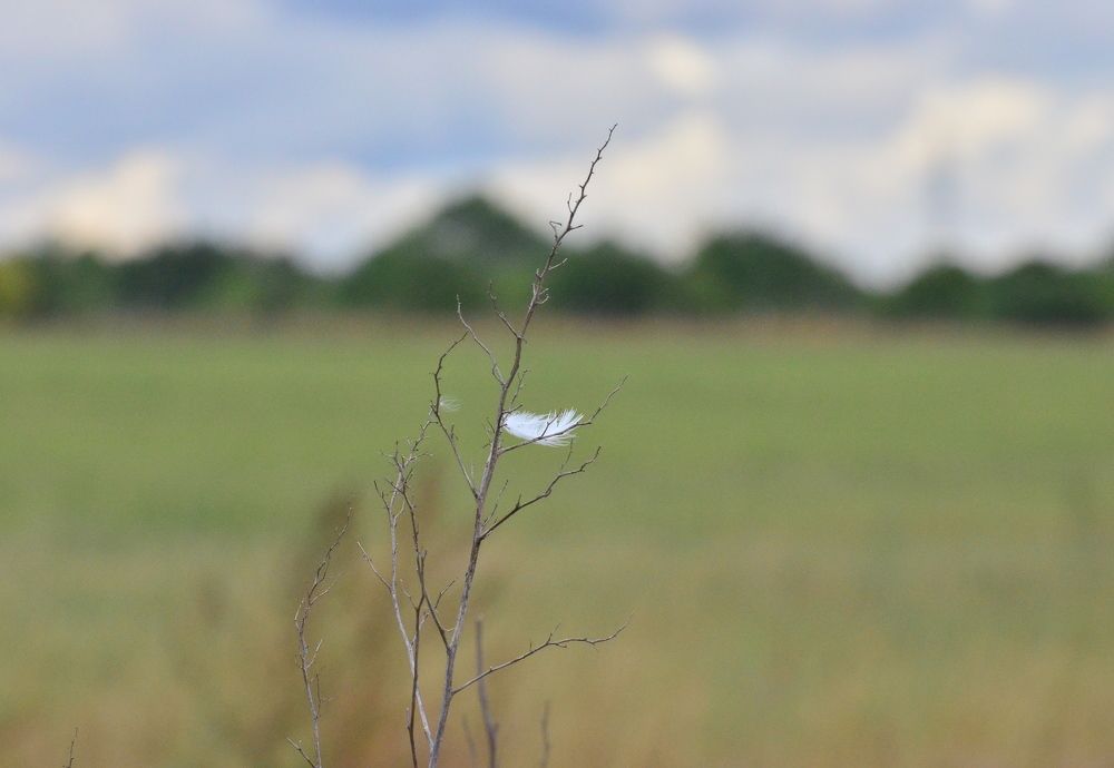 Photograph by Олег Радионов