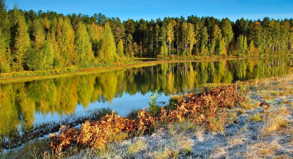 Photograph by Светлана