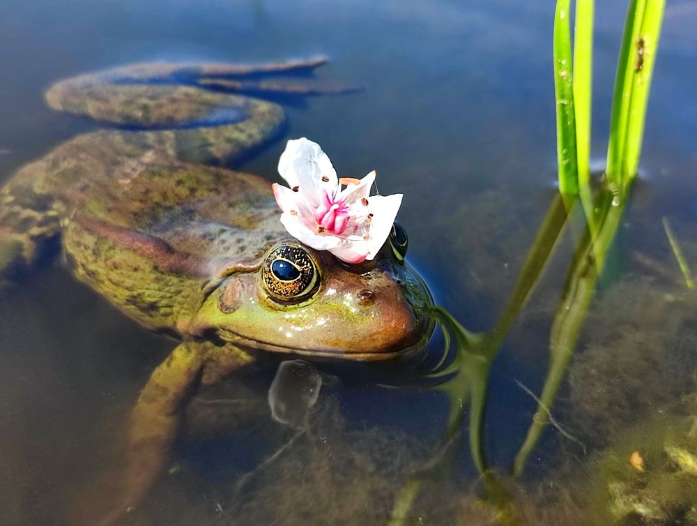 Photograph by Юлия Гинтер