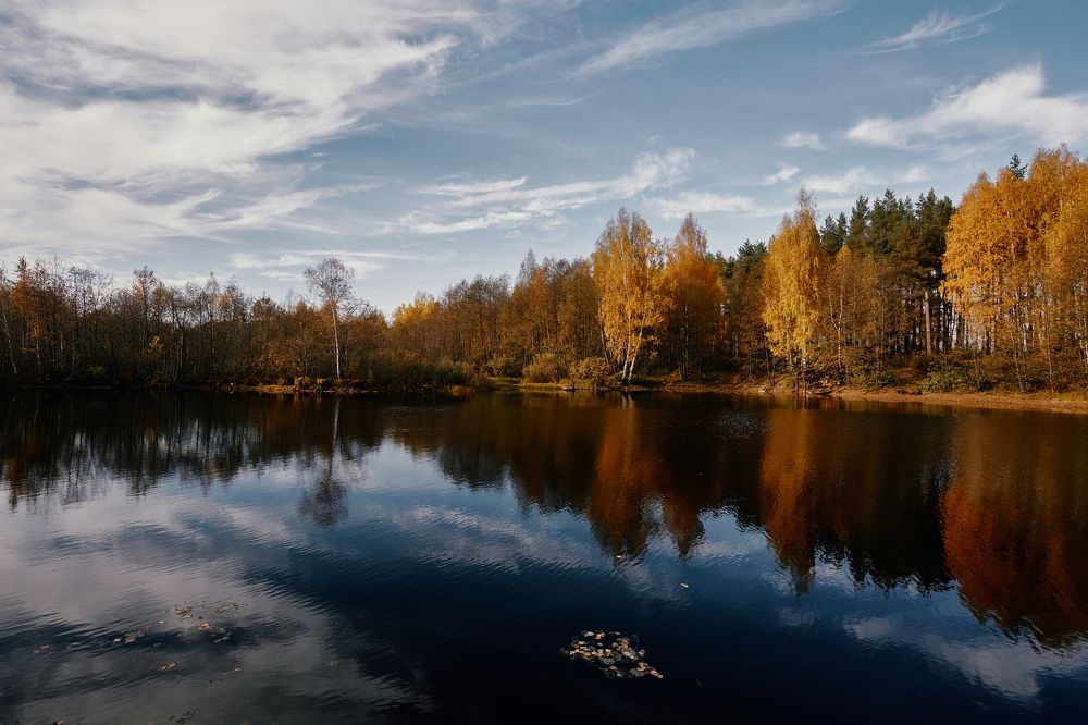 Фотография автора Сергей Катков