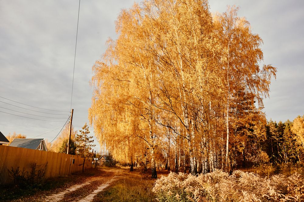 Фотография автора Сергей Катков