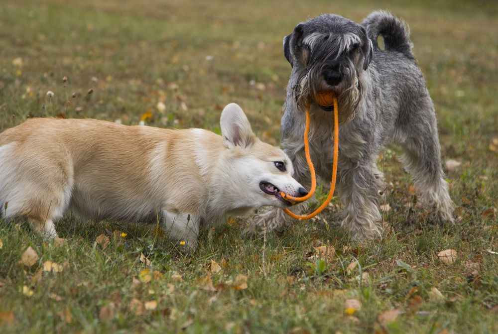 Photograph by Наталья Кирина