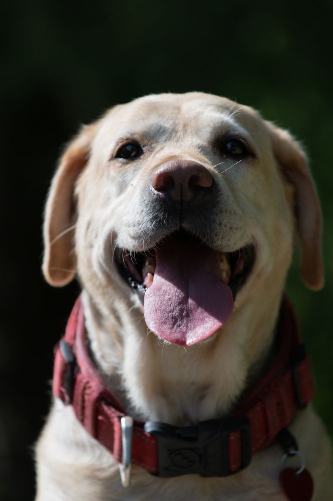 Photograph by Елена Ефимова