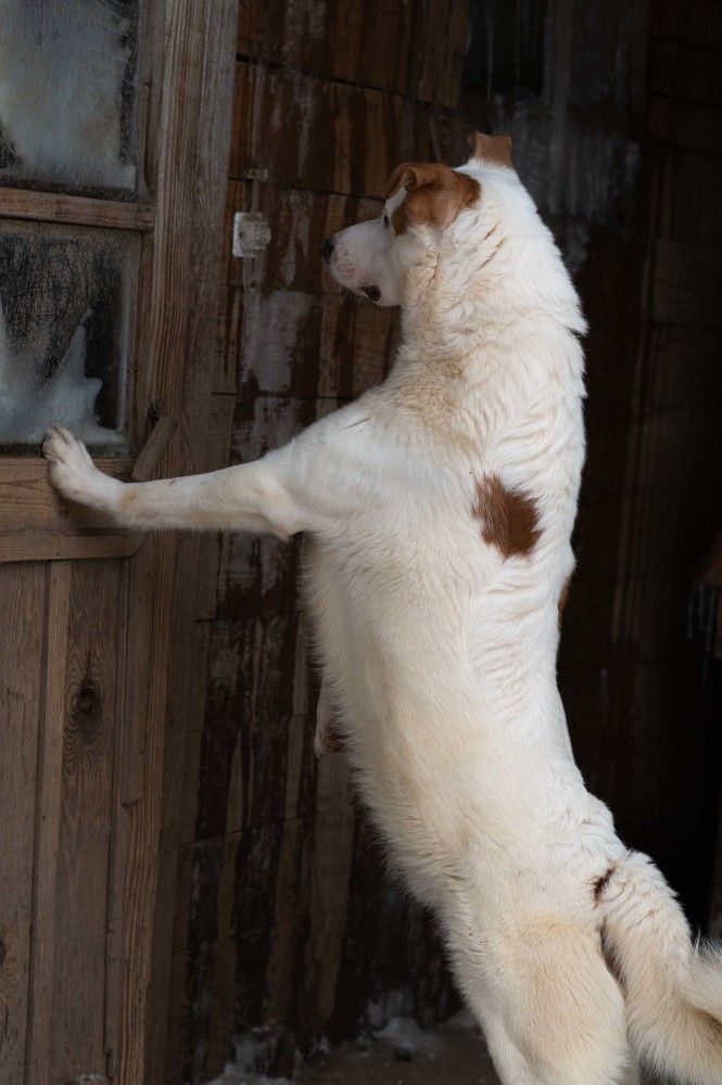 Photograph by Елена Ефимова