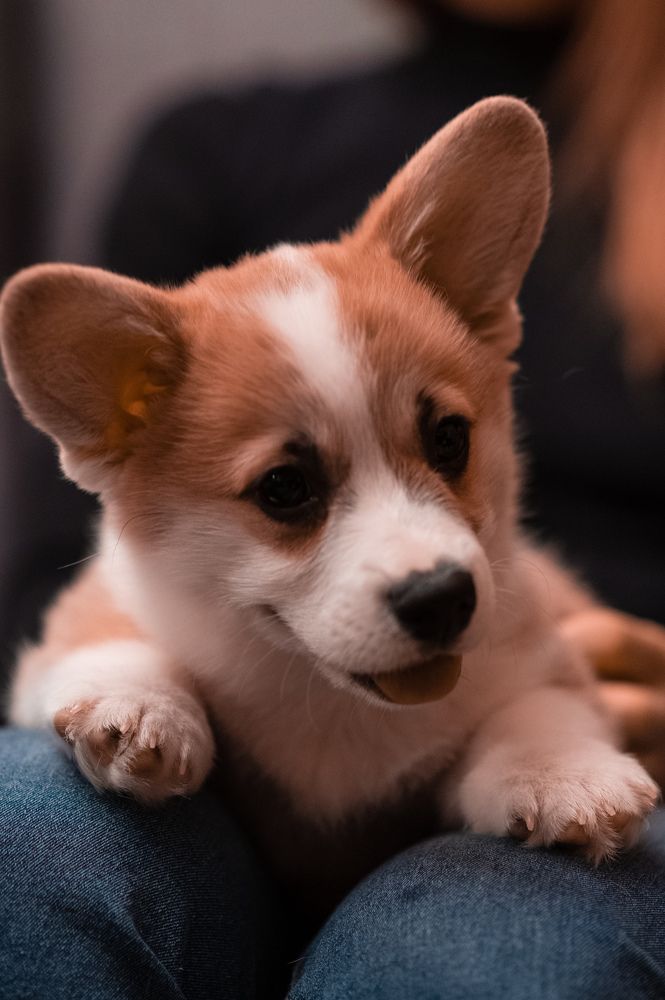 Photograph by Елена Ефимова