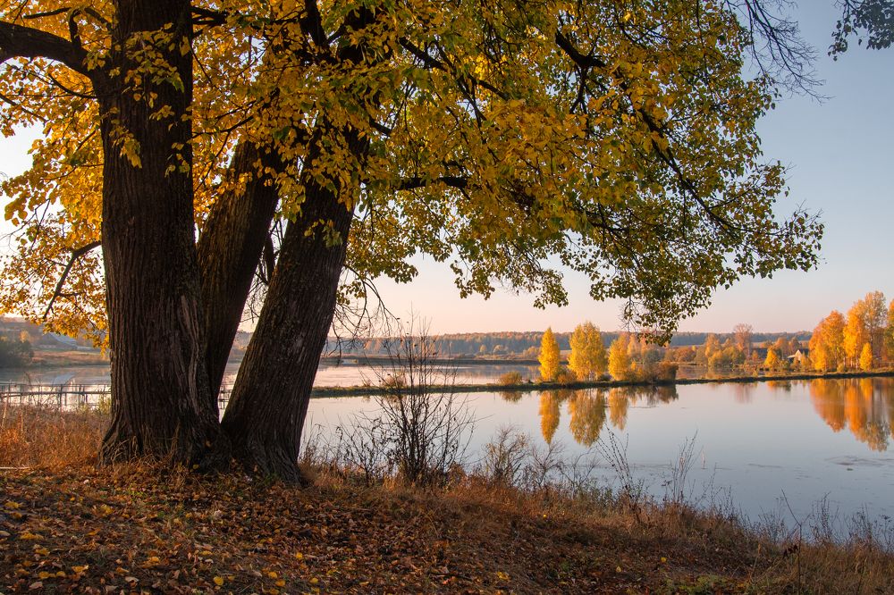 Photograph by Андрей Малыгин