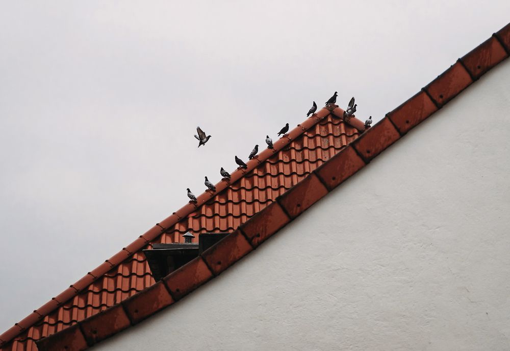 Photograph by Екатерина Карпова