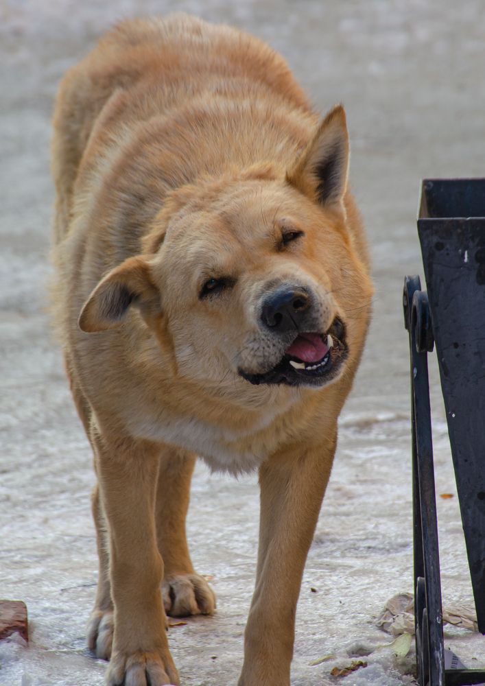 Photograph by Юрий Кизин