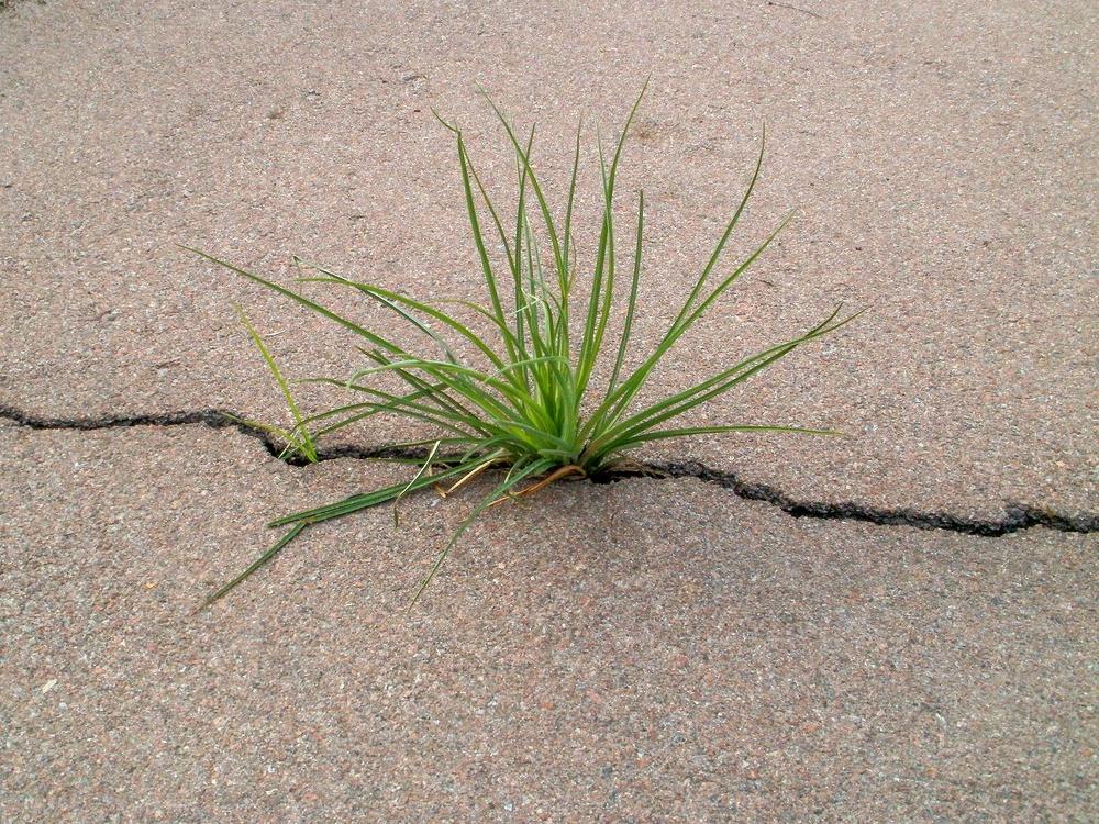 Photograph by Fantomas