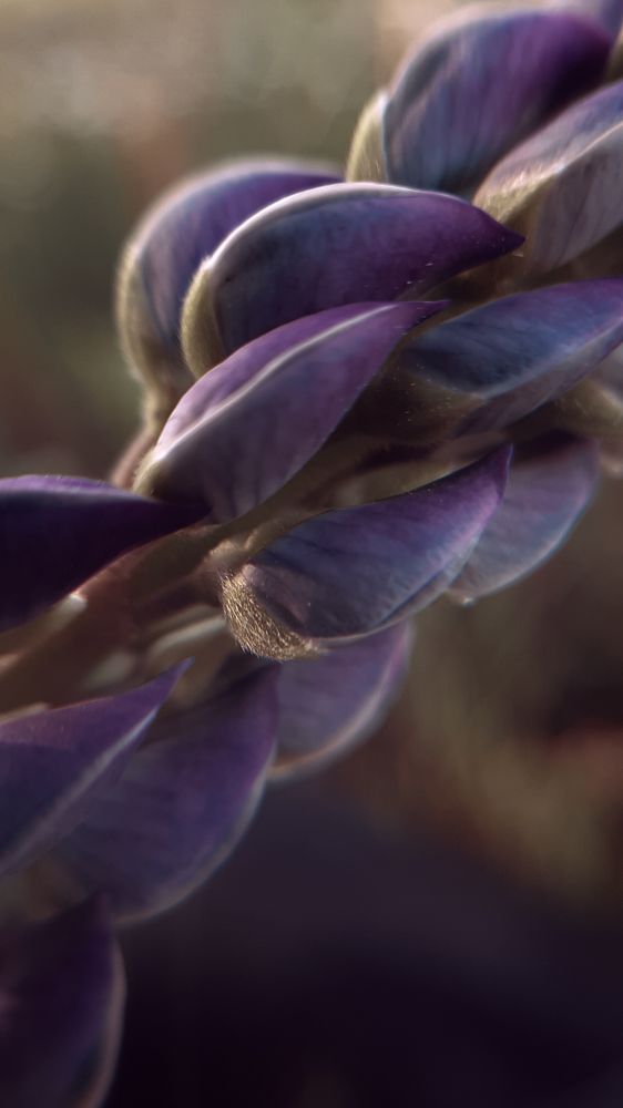 Photograph by Оксана Корепанова