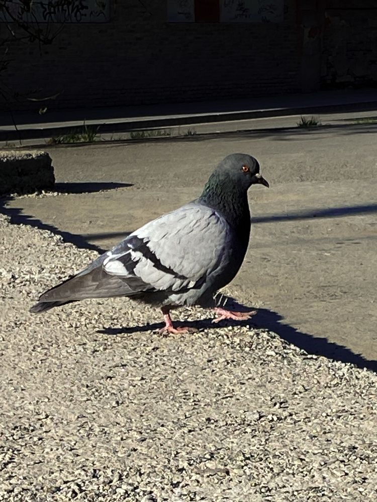 Photograph by Вера Романова