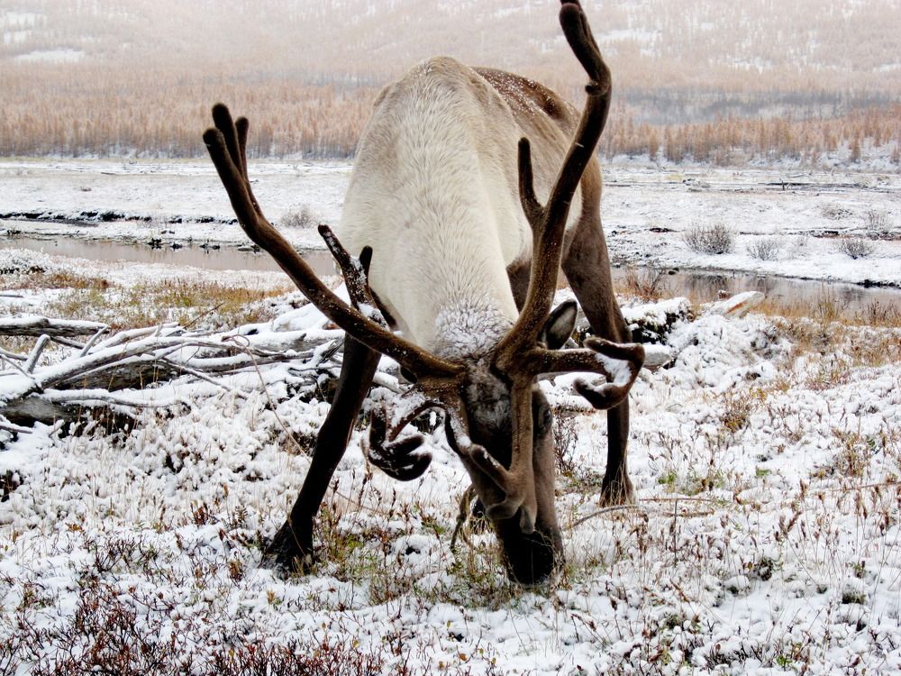 Photograph by Галина Искандарова