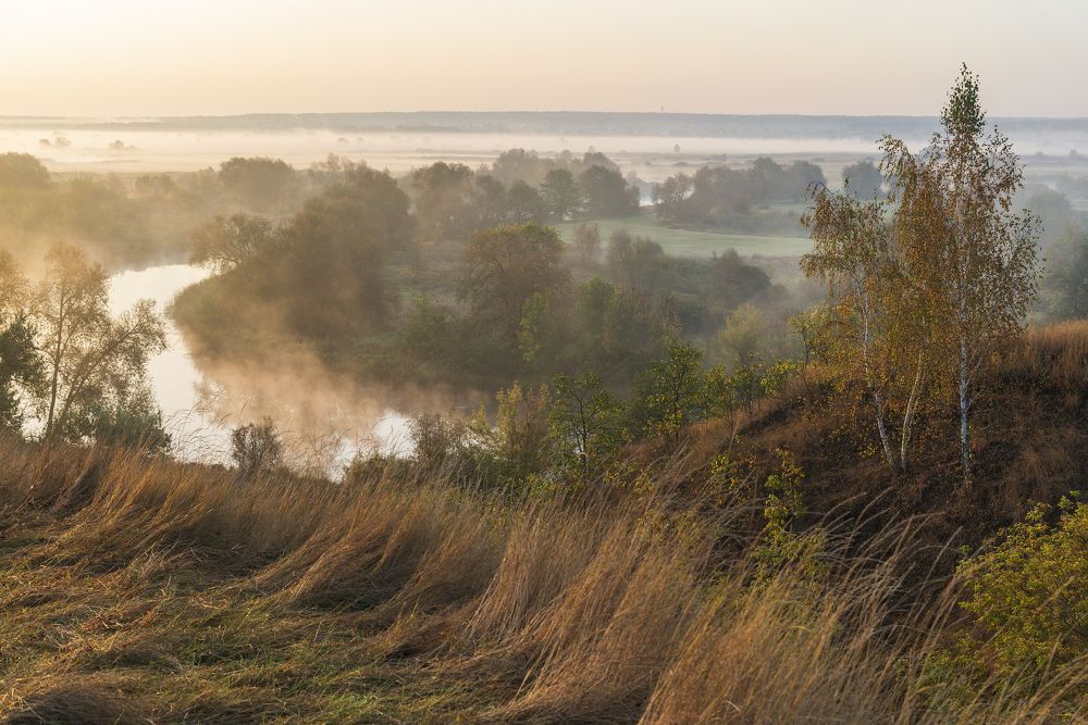 Photograph by Дмитрий Новоселов