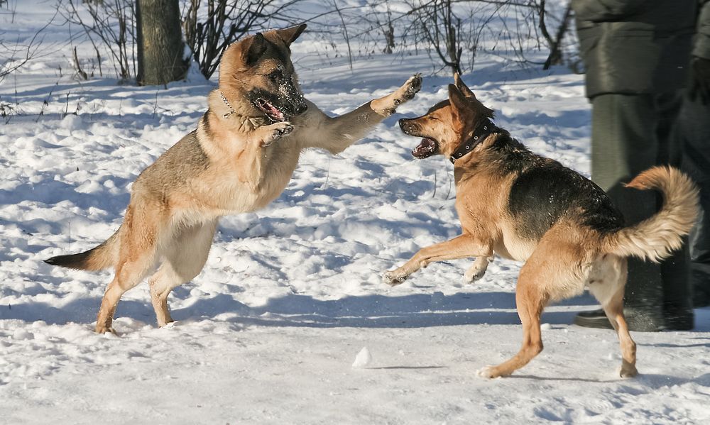 Photograph by Ирина Архипова