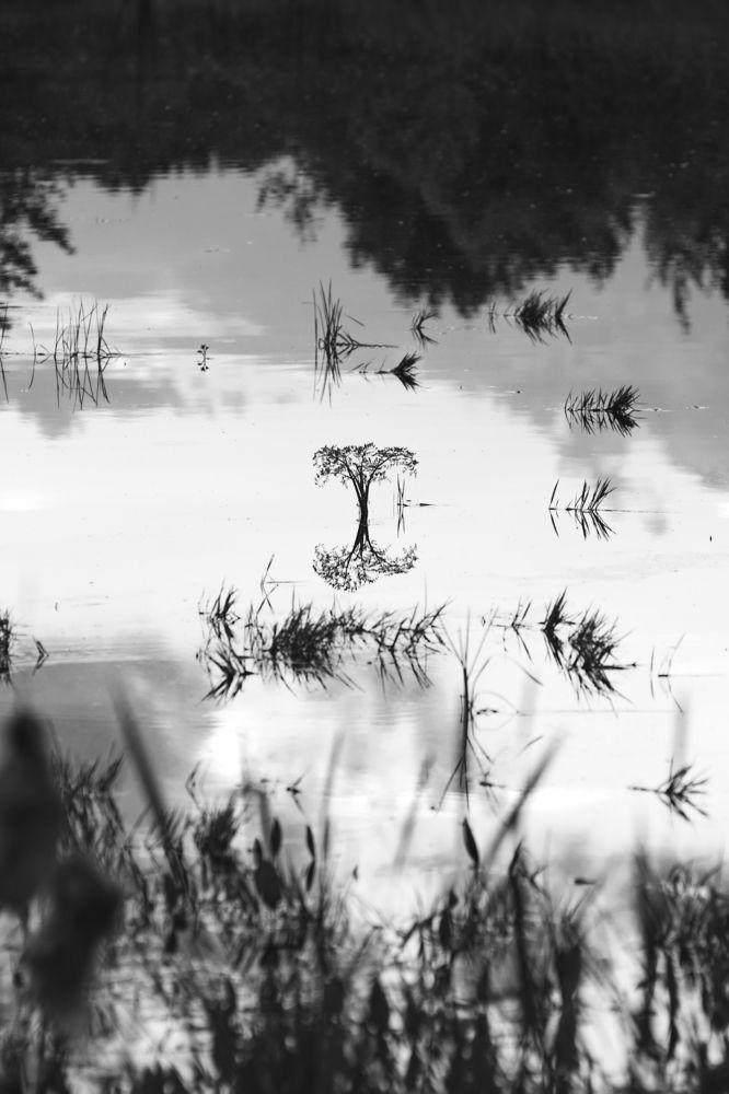 Photograph by Наталия Брянцева