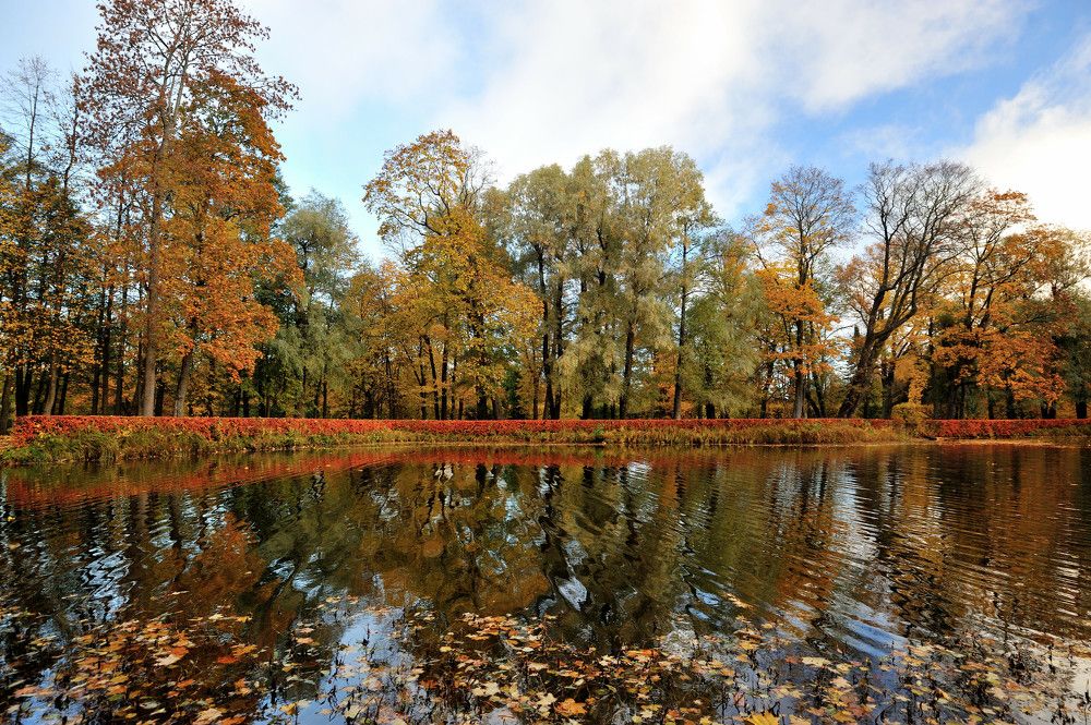 Photograph by Андрей Вестмит