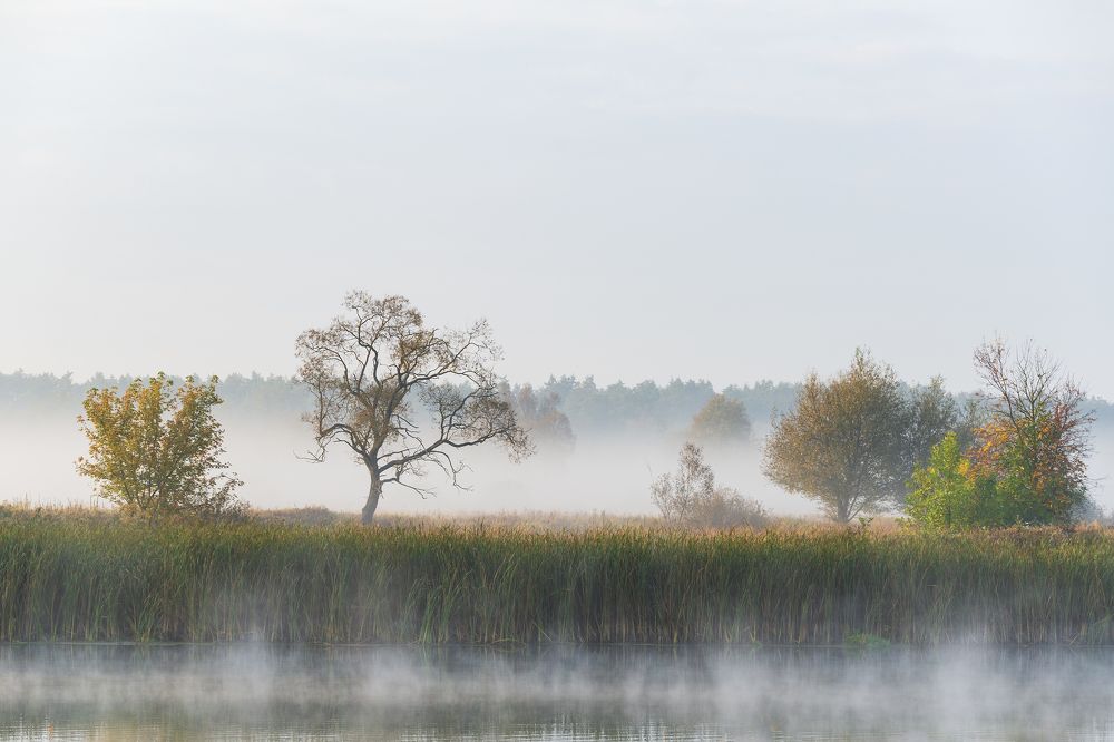 Photograph by Дмитрий Новоселов