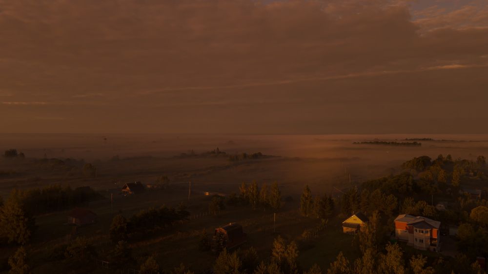 Photograph by Ольга Левакова