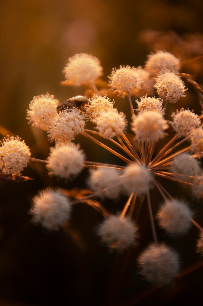 Фотография автора Богдан Михаськів