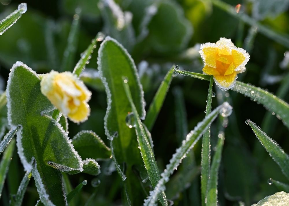 Photograph by Алексей Гордеев