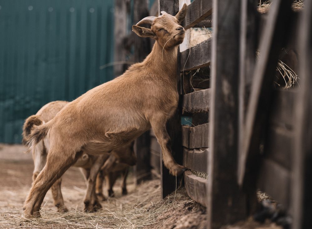 Photograph by Марьям Цимбельман