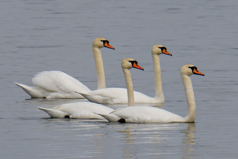 Photograph by Алексей Сальников