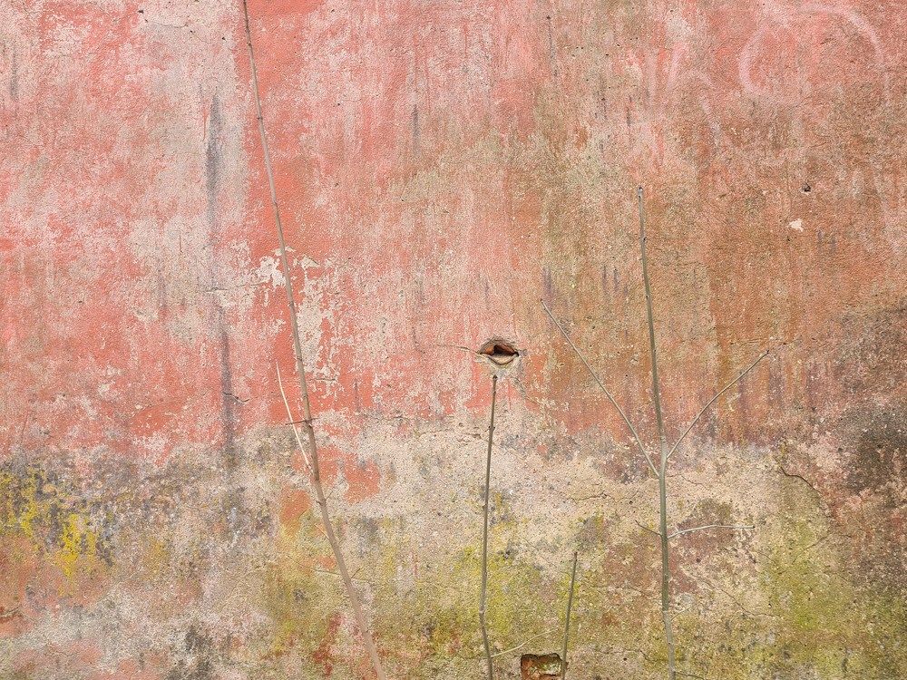 Photograph by Ольга Юсупова