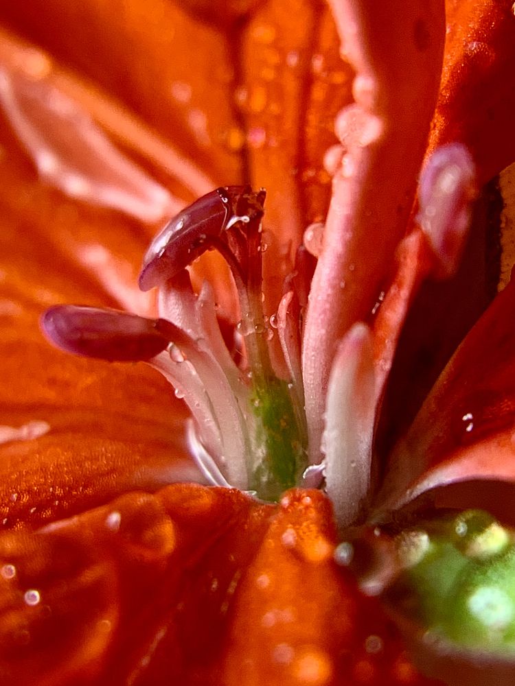 Photograph by Елена Макуха