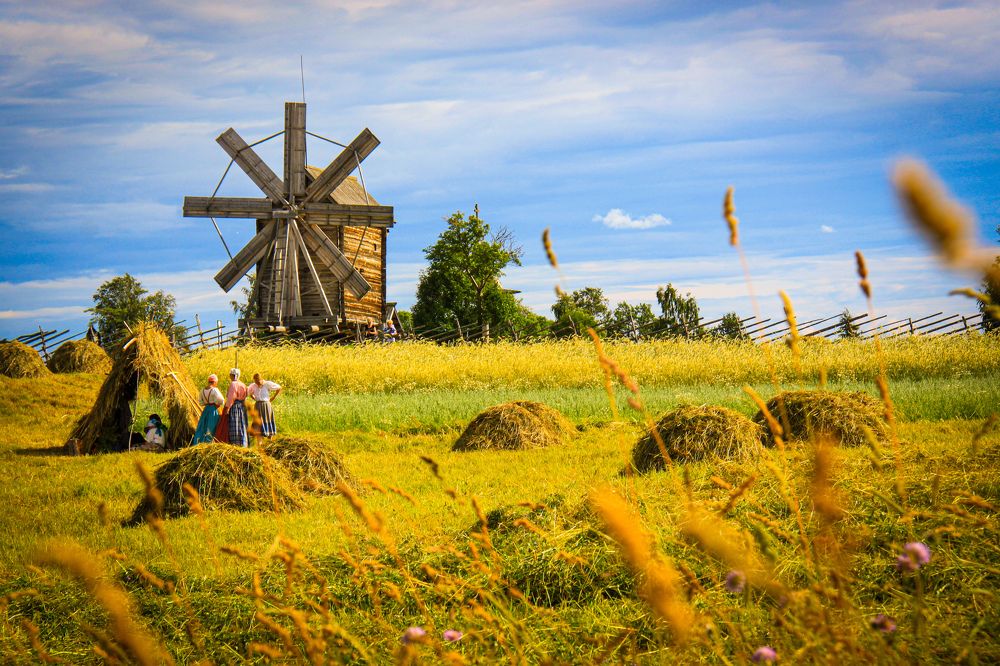 Фотография автора Elena Ku