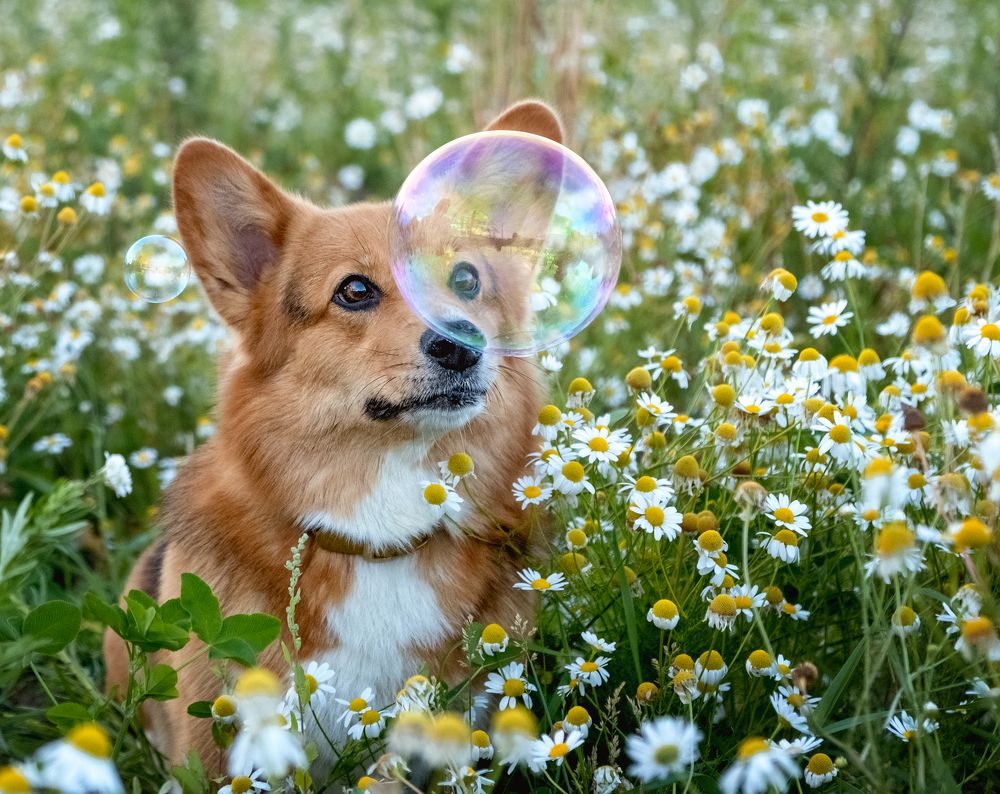 Photograph by Валерия