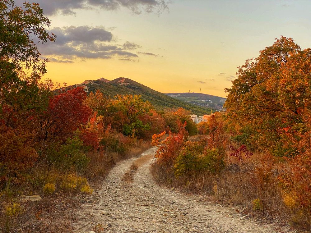 Фотография автора Екатерина Круглик