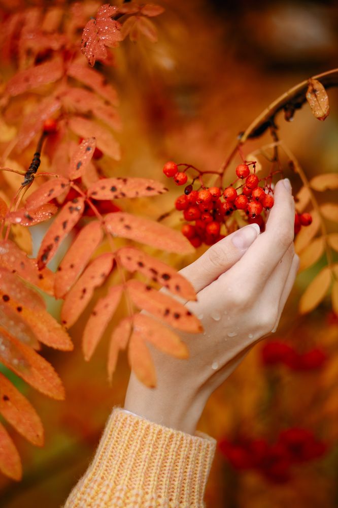 Photograph by Светлана Подгайская