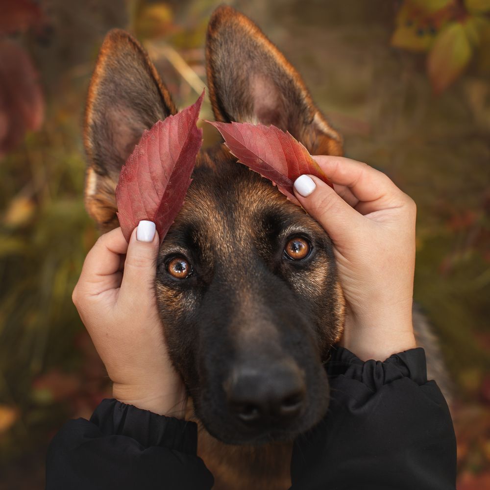 Photograph by Татьяна Рыбцева