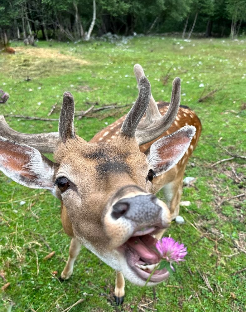 Photograph by Мария Алейникова