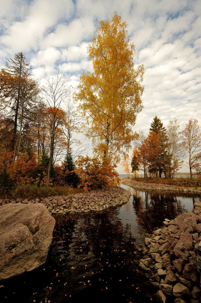 Photograph by Андрей Вестмит